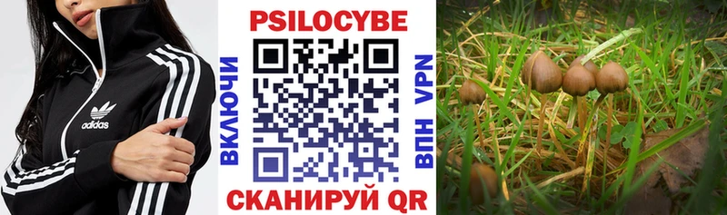 Псилоцибиновые грибы MAGIC MUSHROOMS  наркота  Беломорск 